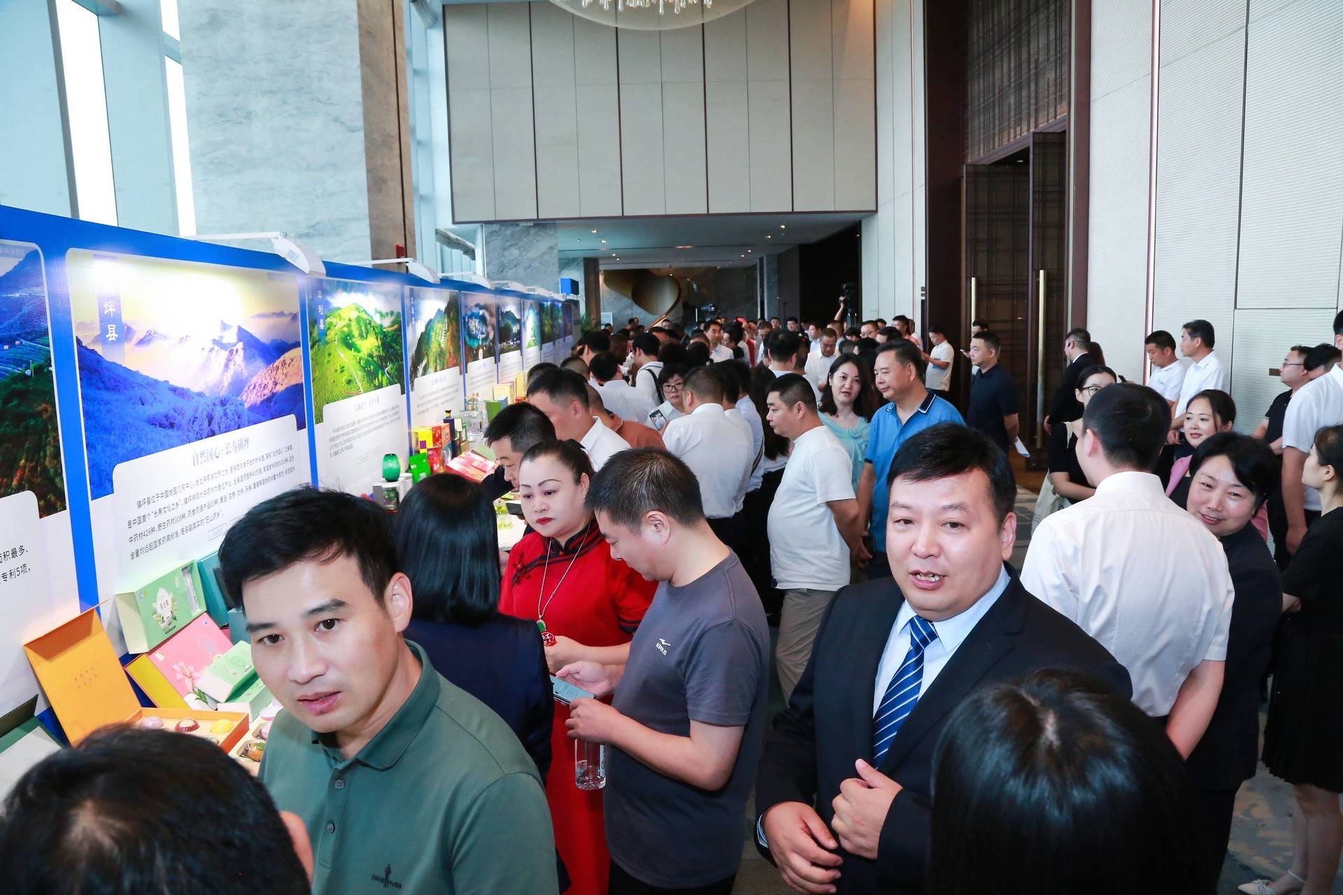 秦巴明珠•闪耀湾区-安康市开放发展暨国际经济合作项目推介会成功举办