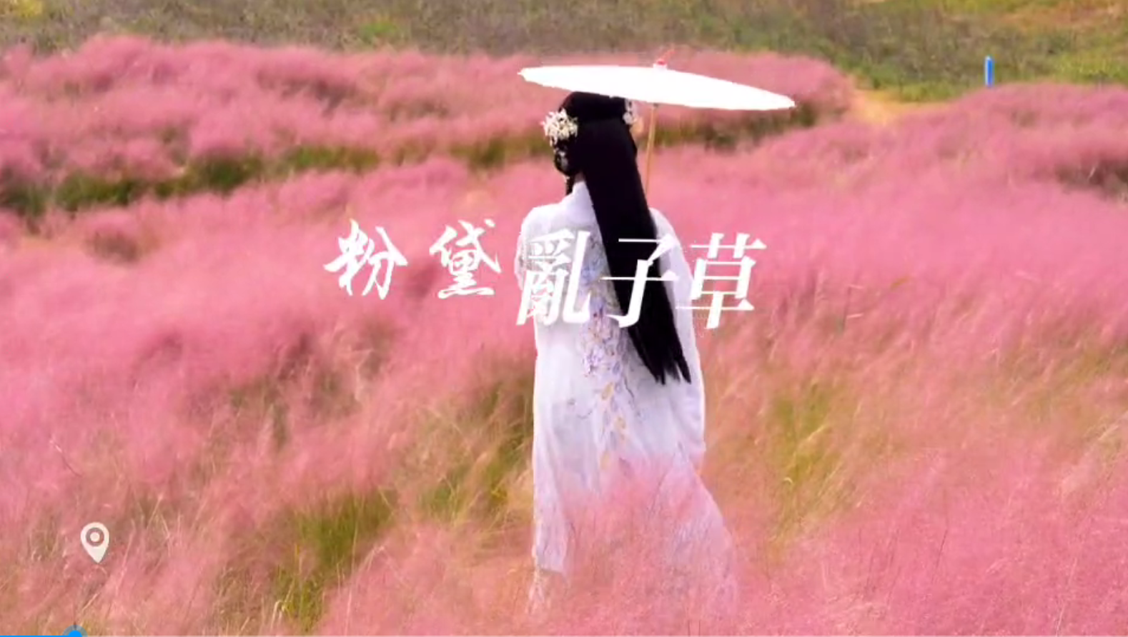 粉黛摇曳，来百草园赴一场浪漫之约！