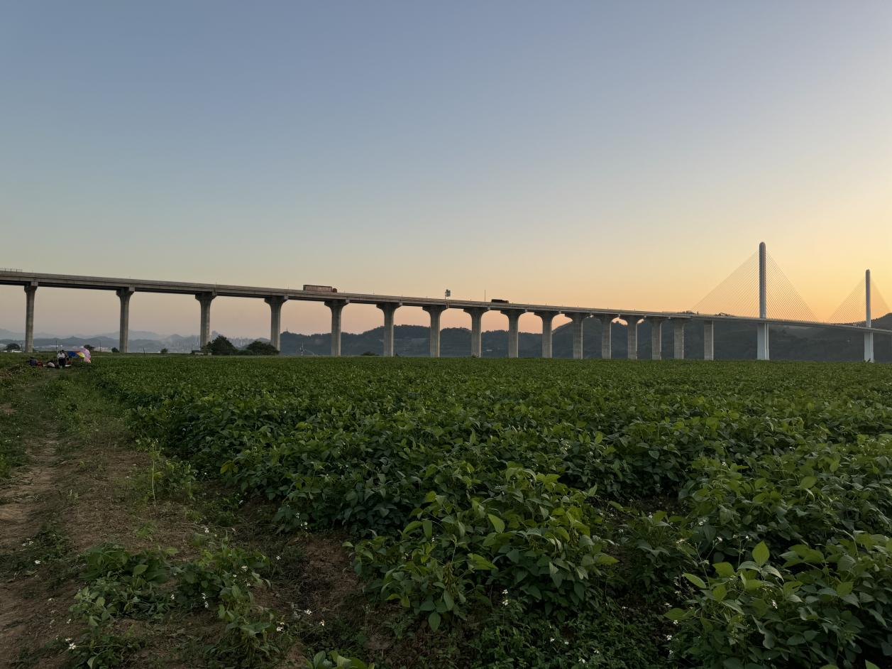 长岗光升村聚焦“百千万工程”,农企、村集体、村民三方共赢