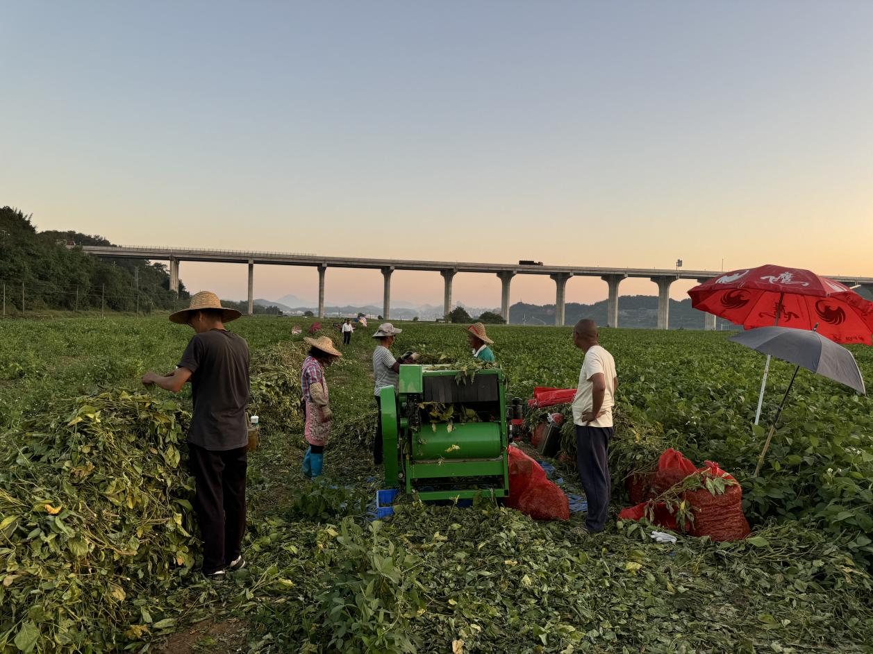 长岗光升村聚焦“百千万工程”,农企、村集体、村民三方共赢