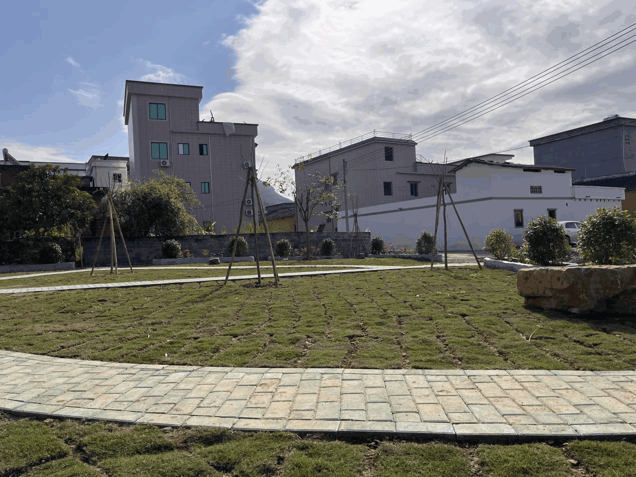 莲都文华村多措并举,赋能“百千万”典型村建设