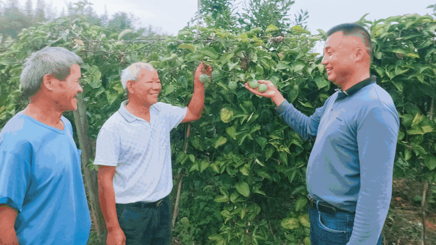 “兵支书”带领村民实现村集体经济“弯道”超车