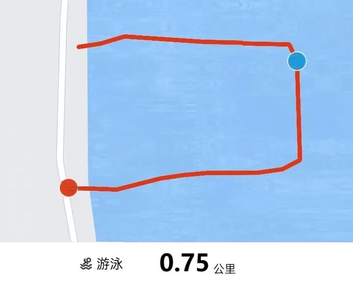 深圳首届 Swim Run 游跑两项赛竞赛规程