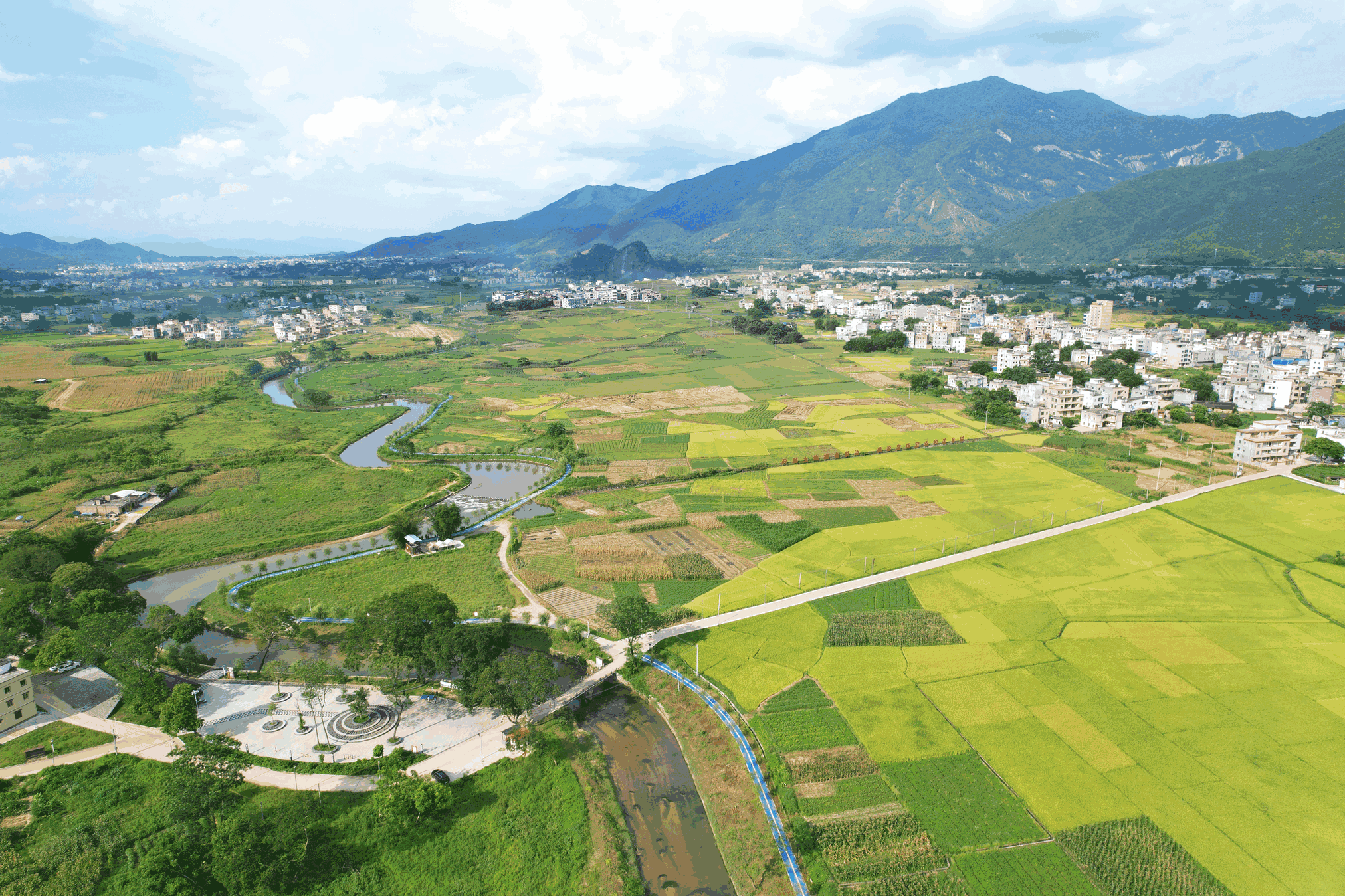 “四大变化”描绘长安社区绿美发展蓝图