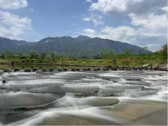 “四大变化”描绘长安社区绿美发展蓝图