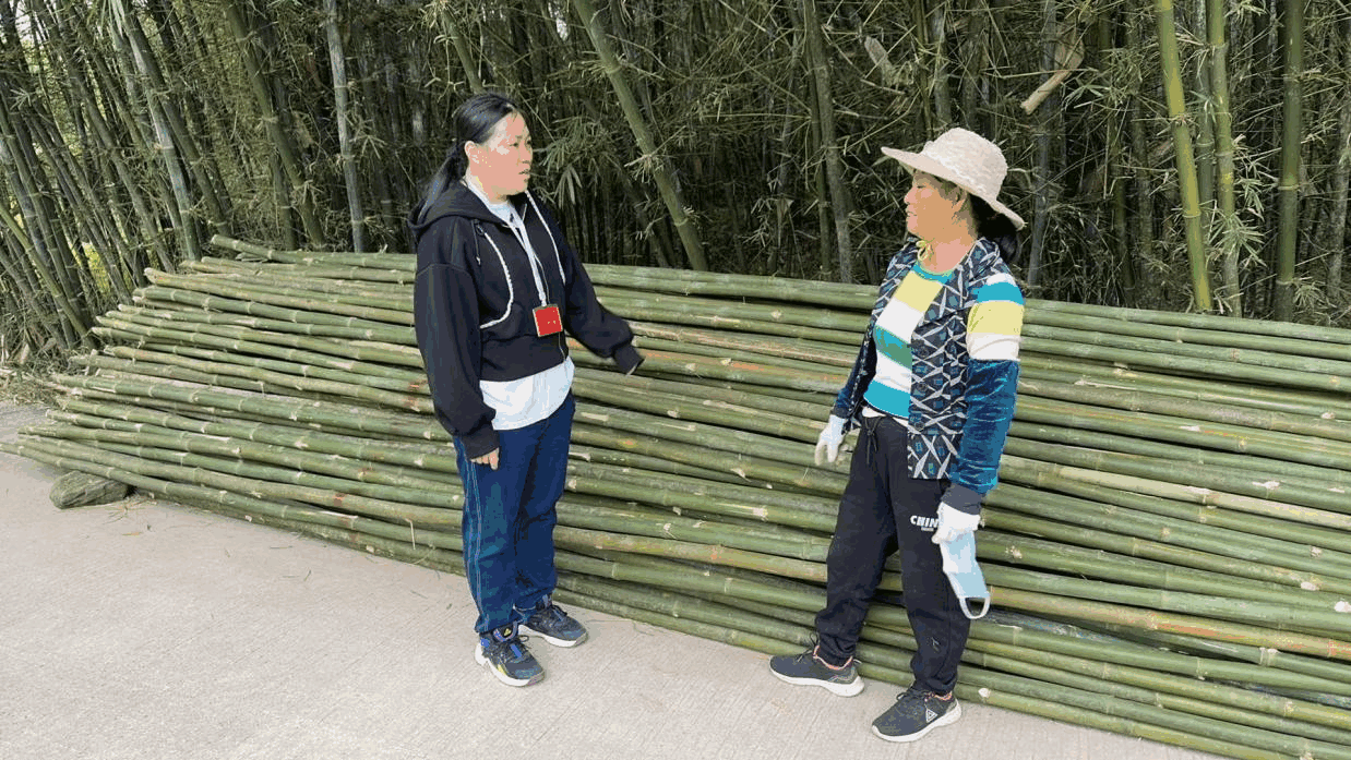 封开江川写好“竹”文章,让特色产业步入“快车道”