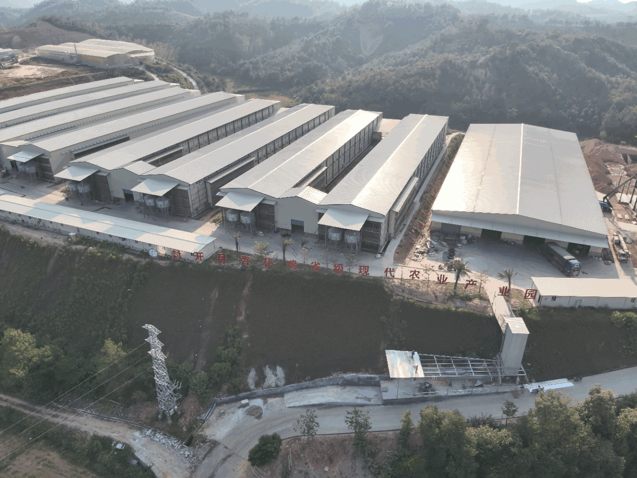 封开科技助力杏花鸡变“金凤凰 ”，产值突破23亿，带动旅游收入10亿元