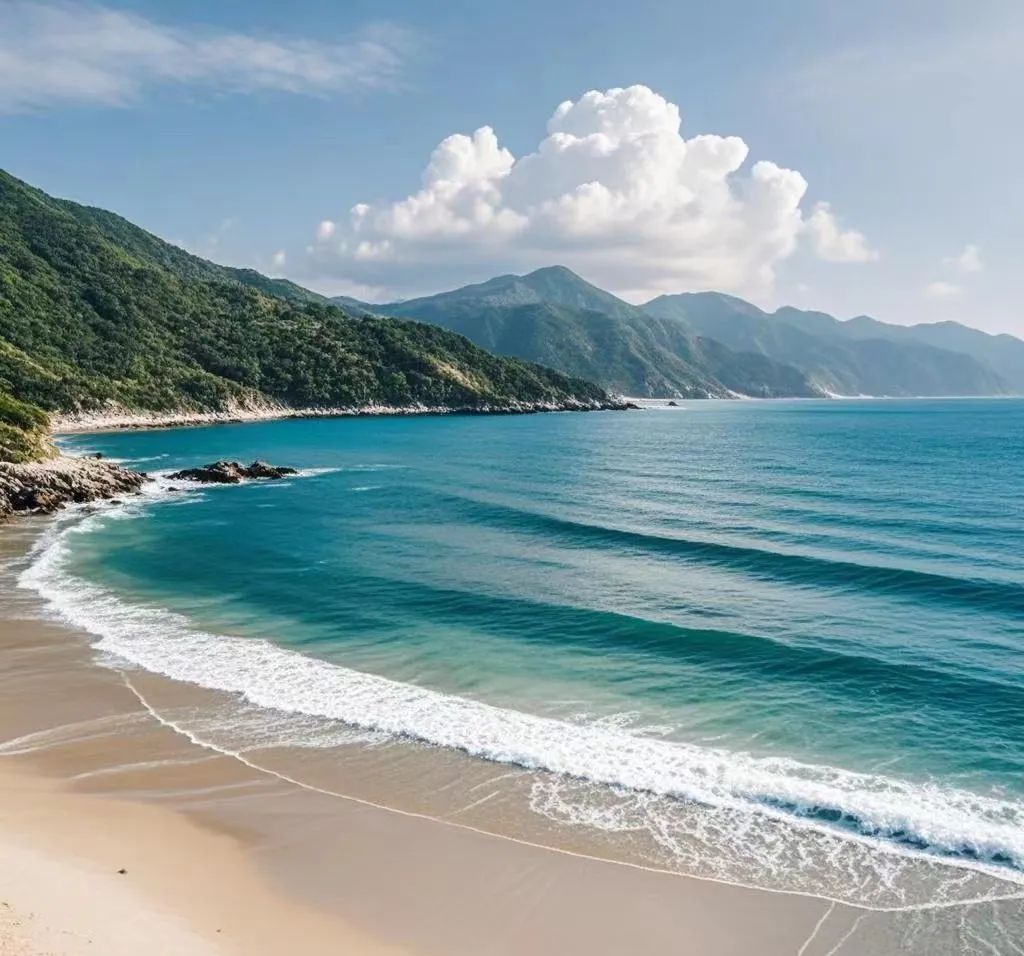 深圳首届 SWIM RUN  大赛圆满落幕 ,勇者逐浪展风采