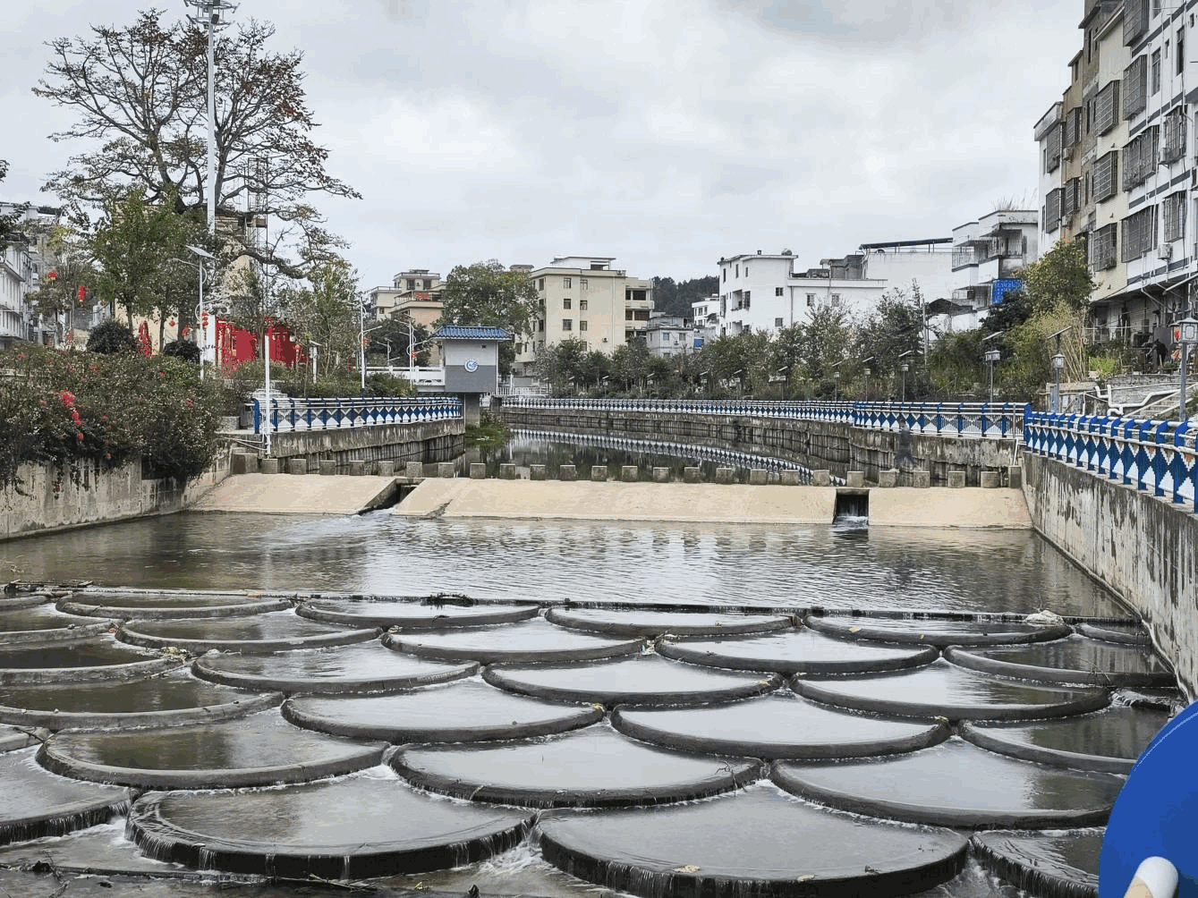 封开罗董携手企业助力镇村旧貌焕新颜