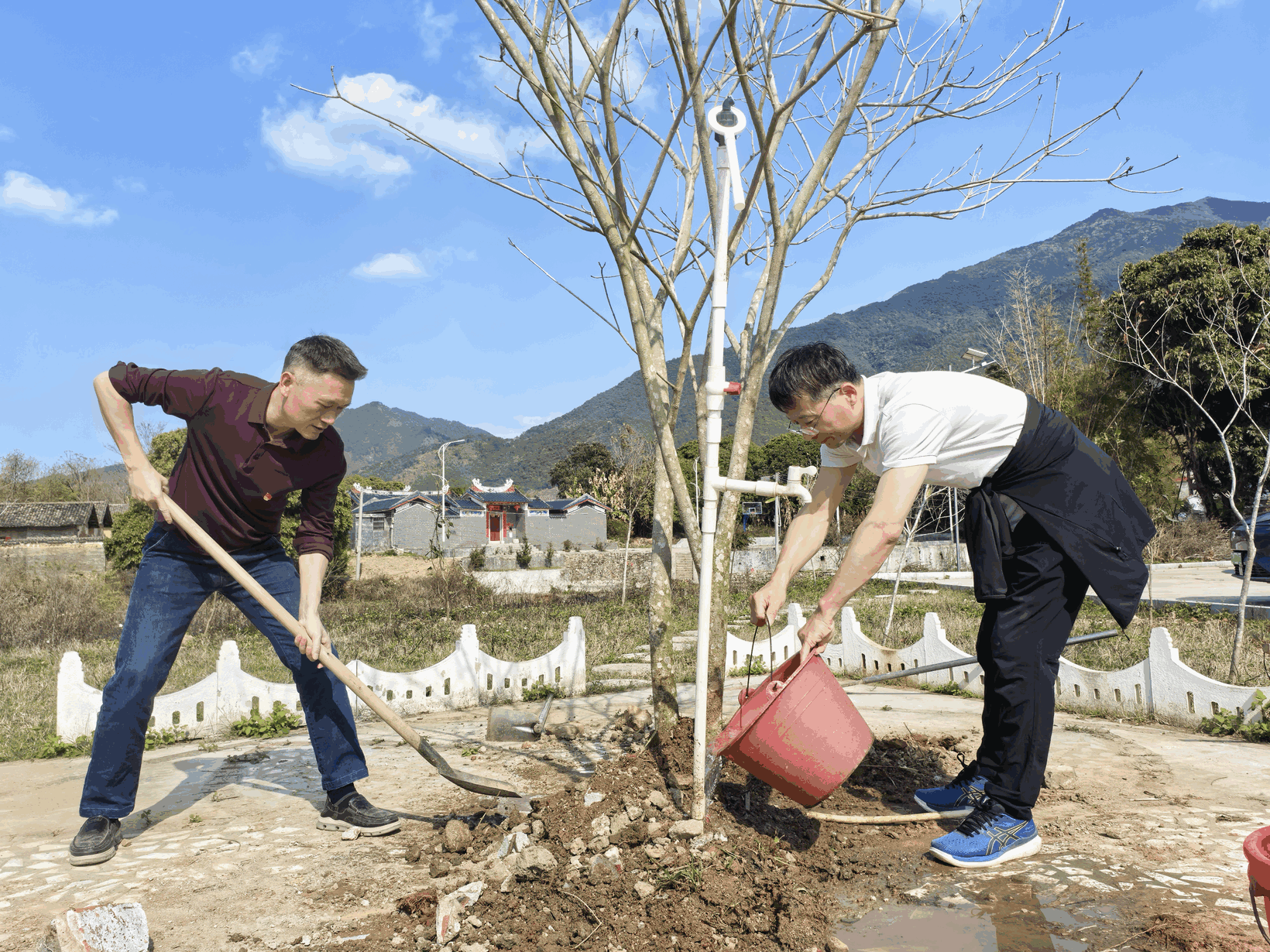 广东省航道事务中心携手封开长安党建引领生态路，共“植”青绿向未来