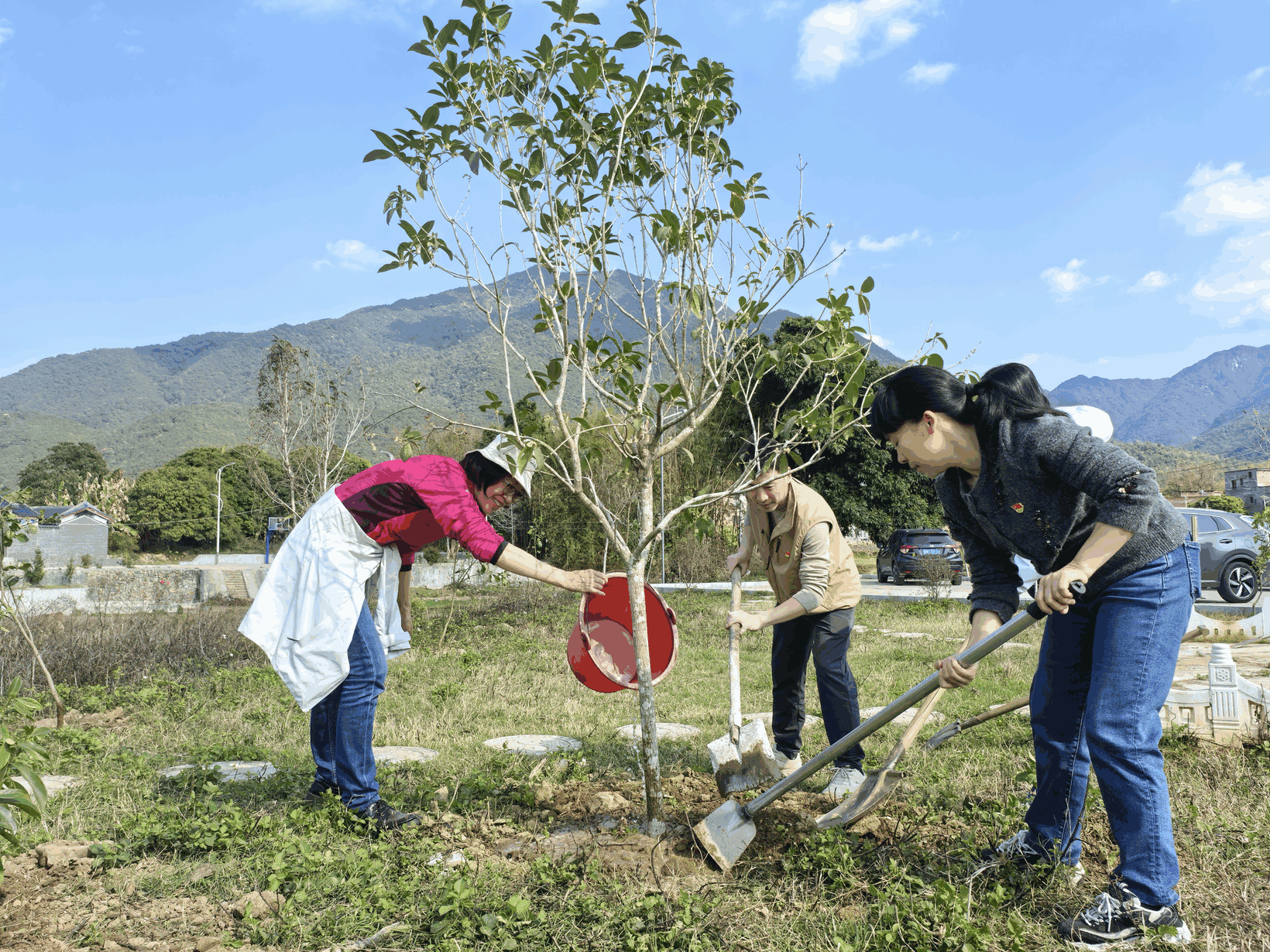 广东省航道事务中心携手封开长安党建引领生态路，共“植”青绿向未来
