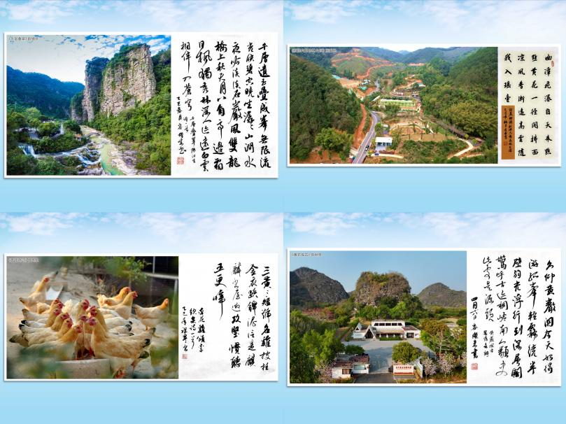 “历史之‘封’·今日之‘开’”岭南广信风华,读懂封开的“根”与“魂”