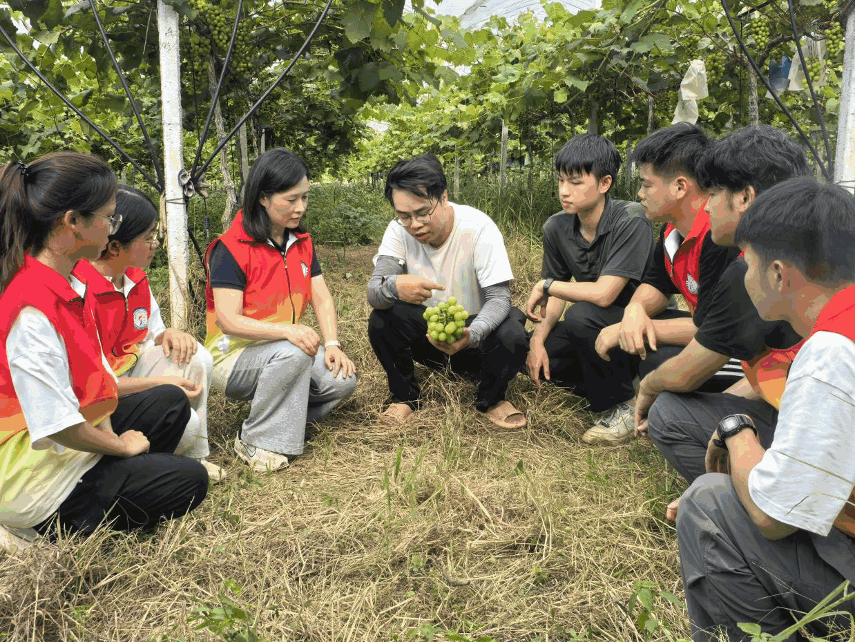 “菠萝兴农，甜享未来”青年突击队共绘“绿美江川”农文旅融合崭新蓝图