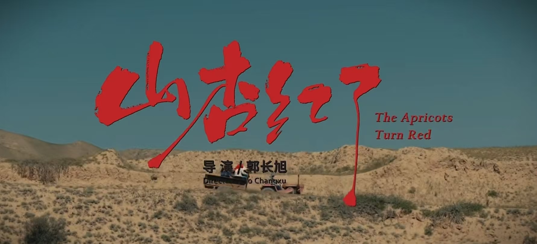 微电影《山杏红了》首映礼在凉州举行，本土生态故事引观众共鸣