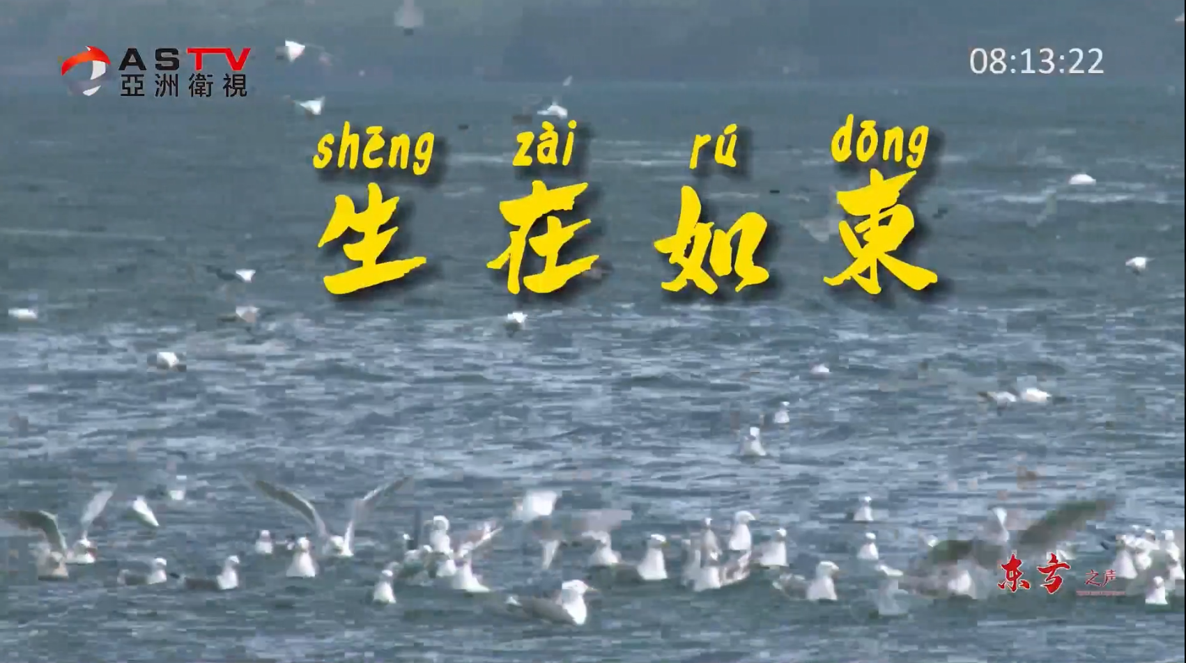 金典音乐汇:《生在如东》作词:吴建明 作曲:吴建明 演唱:崔叶华