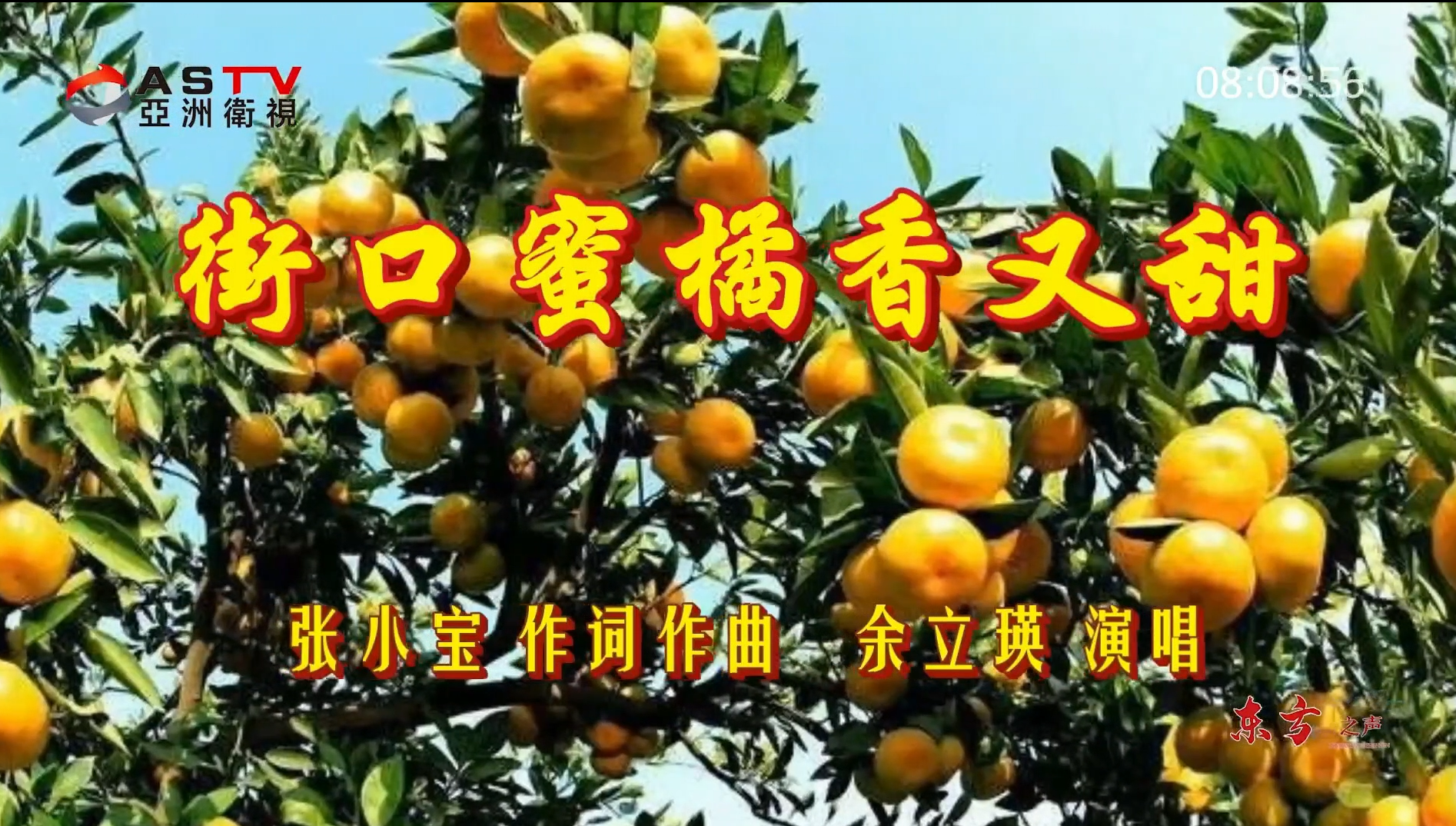 金典音乐汇：《街口蜜橘香又甜》作词：张小宝  作曲：张小宝  演唱：余立瑛