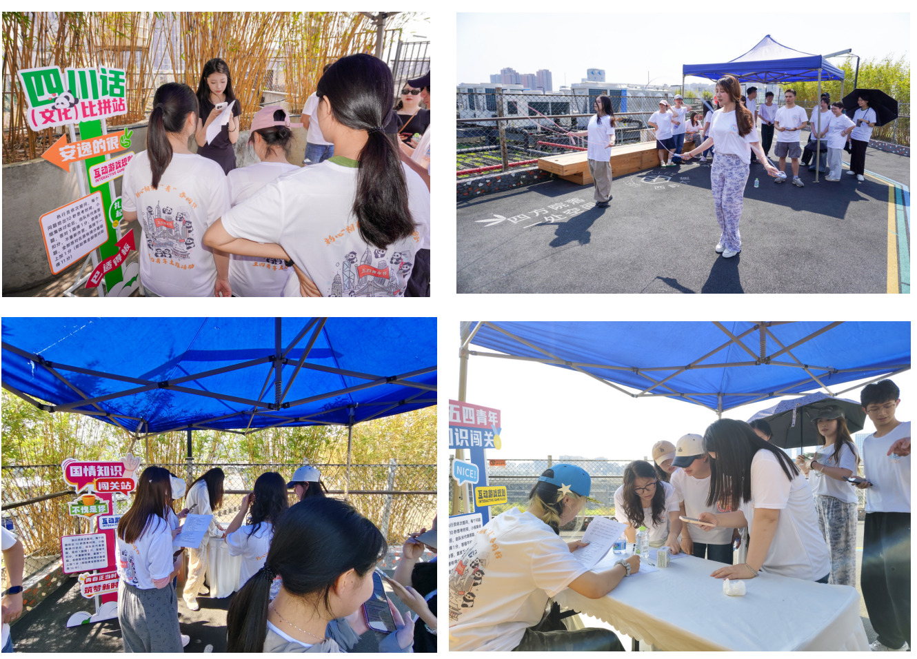 新心相联 “青”春同行——2026年青羊区港澳台侨青年 “五四”主题活动成功举办