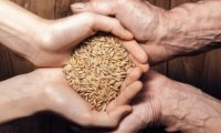 世粮署：粮食援助每减少1%可能将逾40万人推向饥饿边缘