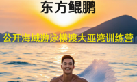 2024 东方鲲鹏泳渡大亚湾正在报名