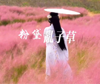 粉黛摇曳，来百草园赴一场浪漫之约！