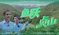 《鱼跃贞山》