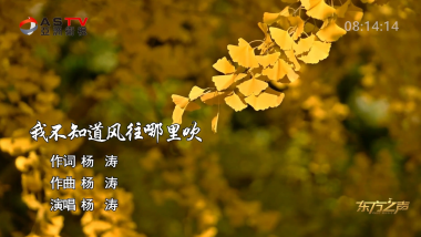 金典音乐汇：《我不知道风往哪里吹》作词：杨 涛  作曲：杨 涛  演唱：杨 涛