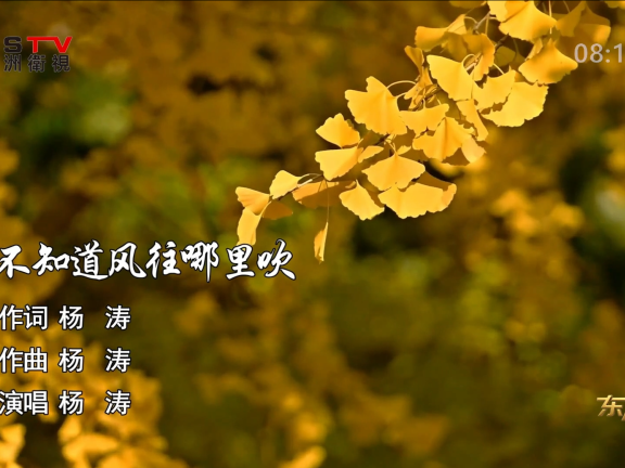 金典音乐汇:《我不知道风往哪里吹》作词:杨 涛 作曲:杨 涛 演唱:杨 涛