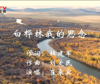 金典音乐汇：《白桦林我的思念》作词：杜建军  作曲：刘爱民  演唱：崔来宾