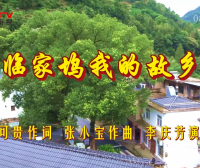 金典音乐汇：《临家坞我的故乡》作词：李可贵  作曲：张小宝  演唱：李庆芳