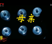金典音乐汇：《母亲》作词：符小凌  作曲：周维华  演唱：吴 刚