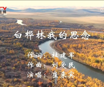 金典音乐汇：《白桦林我的思念》作词：杜建军  作曲：刘爱民  演唱：崔来宾