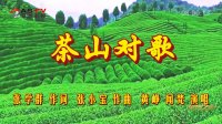 金典音乐汇:《茶山对歌》作词:张学群 作曲:张小宝 演唱:黄 峥 闻 梵